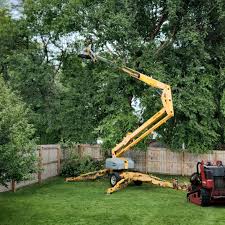 Best Grass Overseeding  in Tamalpais Homestead Valley, CA